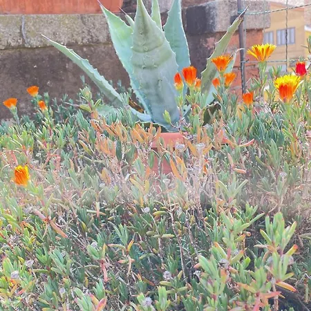 Giudecca Palanca 664 *